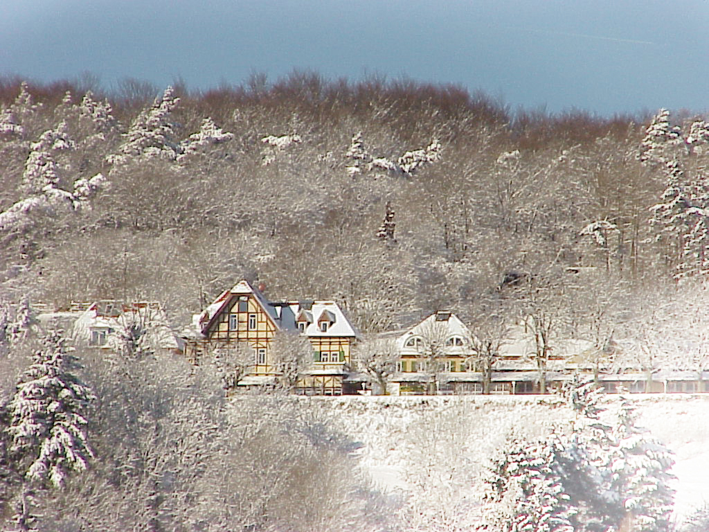 LM_restaurant-jadghaus-3